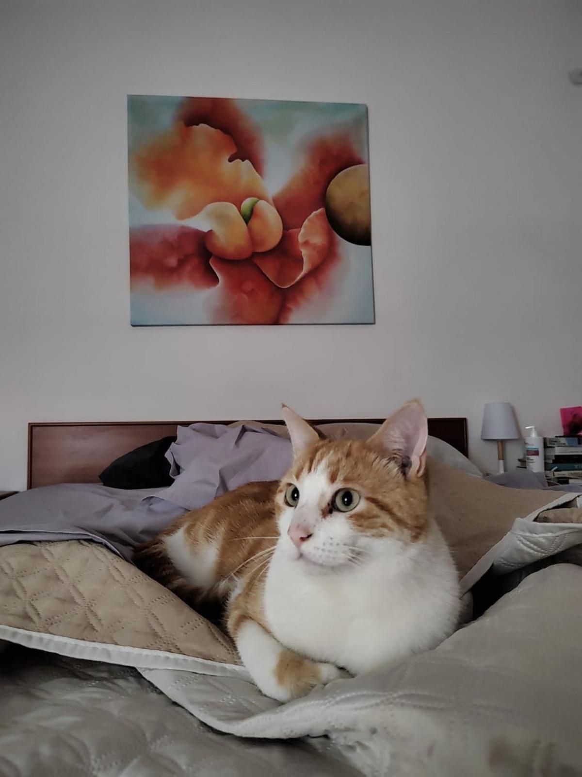 B&B Uva Fragola Perugia Kültér fotó